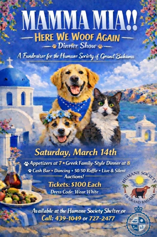 Dinner Show on March 14th